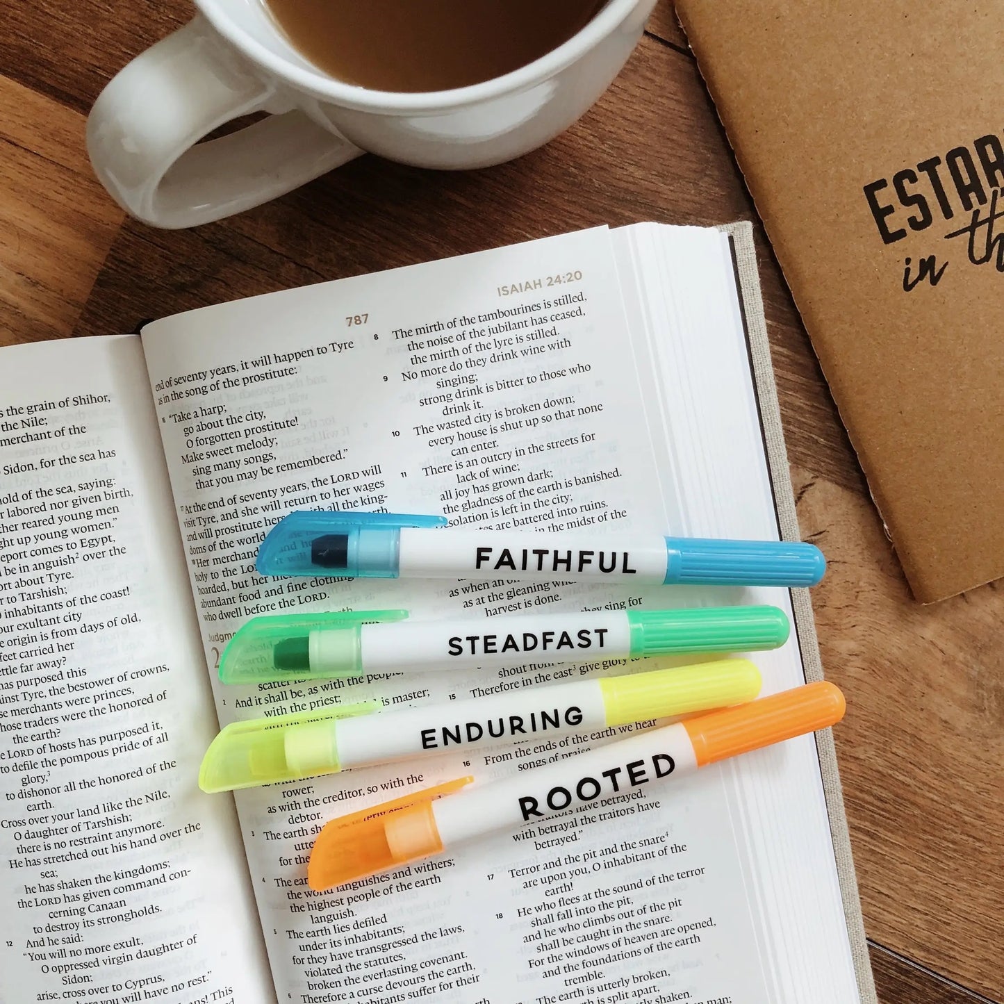 Men's Bible Highlighter Set